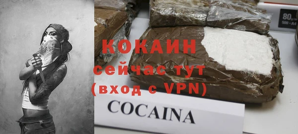 гашик Арсеньев