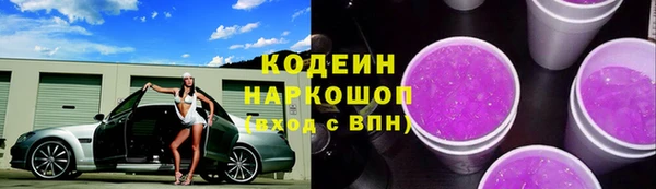 гашик Арсеньев