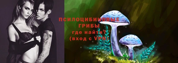 первитин Новодвинск
