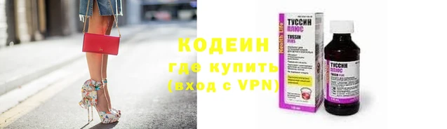 гашик Арсеньев