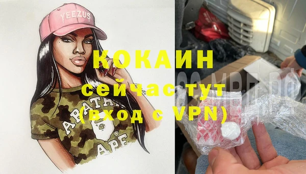 гашик Арсеньев