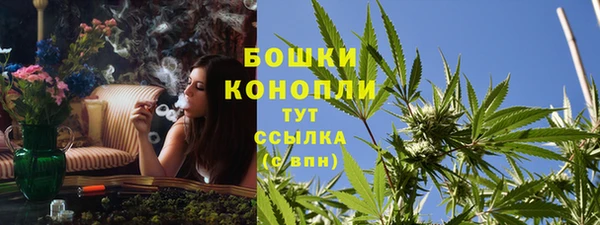 гашик Арсеньев