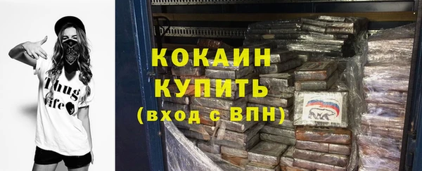 гашик Арсеньев