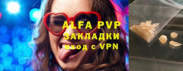 гашик Арсеньев