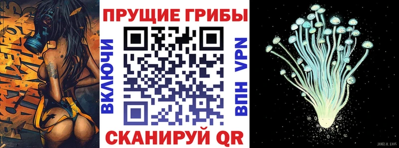 mega как войти  Чадан  Псилоцибиновые грибы ЛСД  закладка 
