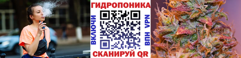 наркота Чадан Бошки марихуана сатива